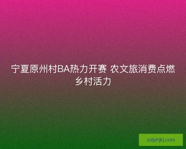 宁夏原州村BA热力开赛 农文旅消费点燃乡村活力